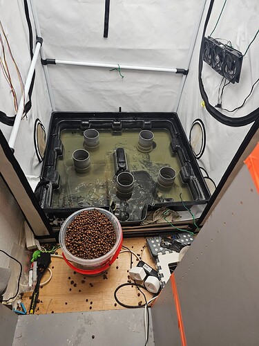 Growreport Bild 10