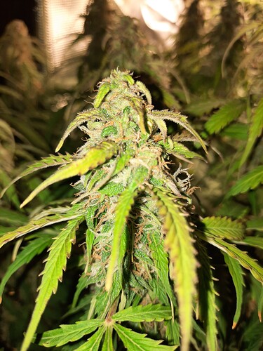 Growreport Bild 14