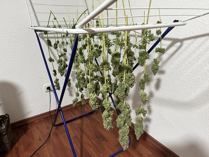 Growreport Bild 36