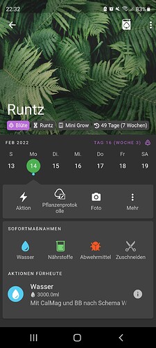 Growreport Bild 1