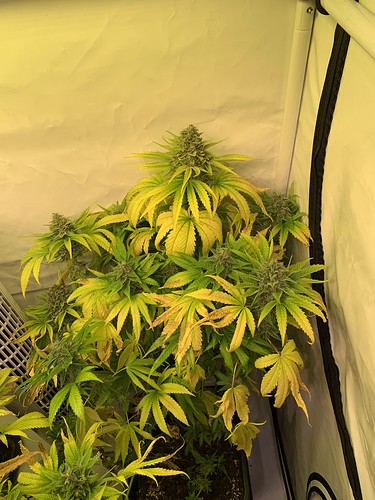 Growreport Bild 7