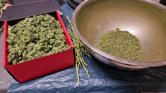 Growreport Bild 26