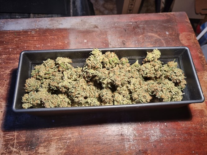 Growreport Bild 55