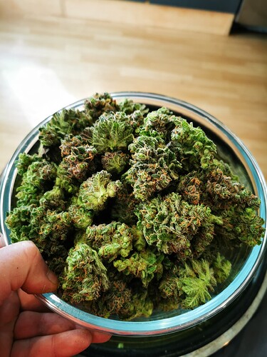Growreport Bild 5