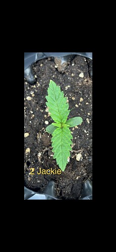 Growreport Bild 26