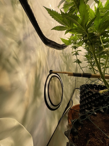 Growreport Bild 11