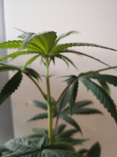 Growreport Bild 14