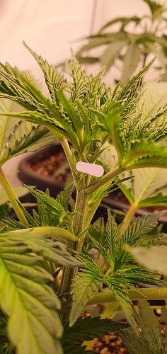 Growreport Bild 2
