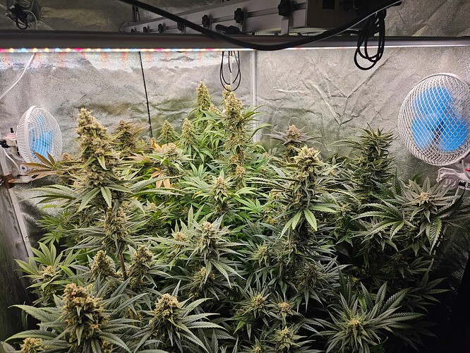 Growreport Bild 56