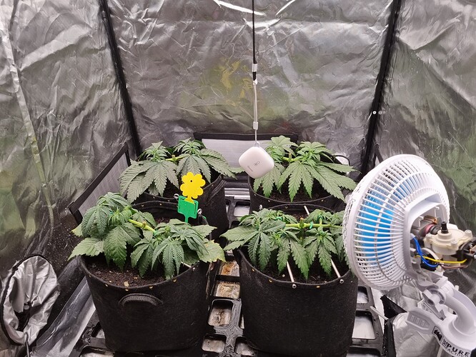 Growreport Bild 15