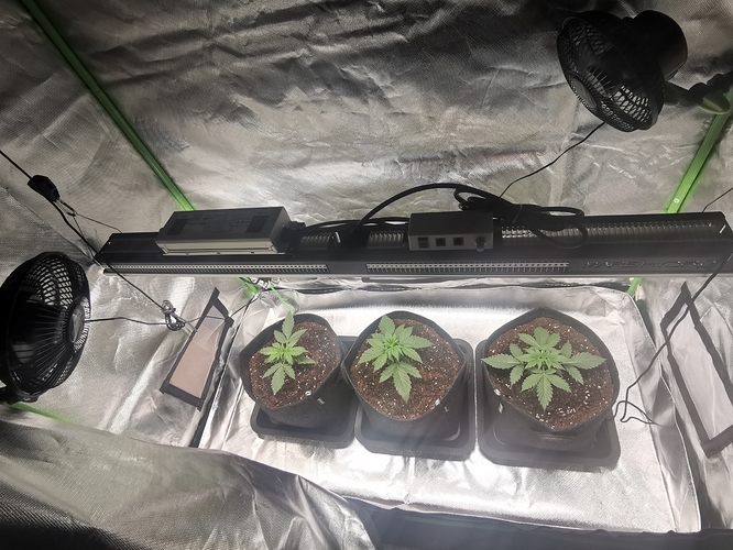 Growreport Bild 3