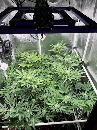 Growreport Bild 12