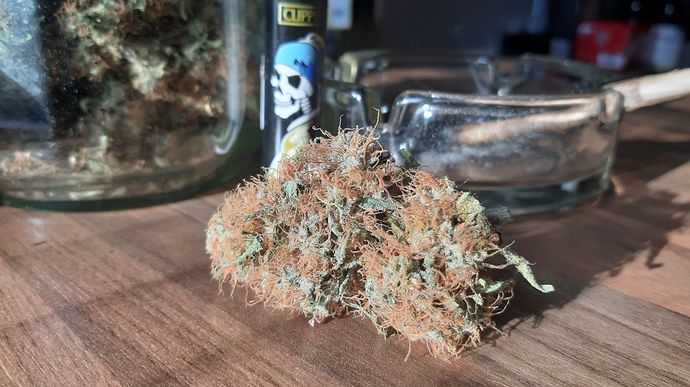 Growreport Bild 14