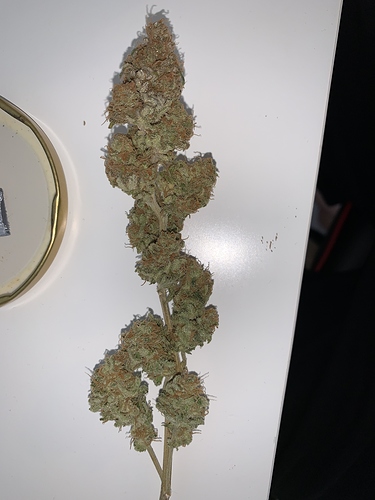 Growreport Bild 4