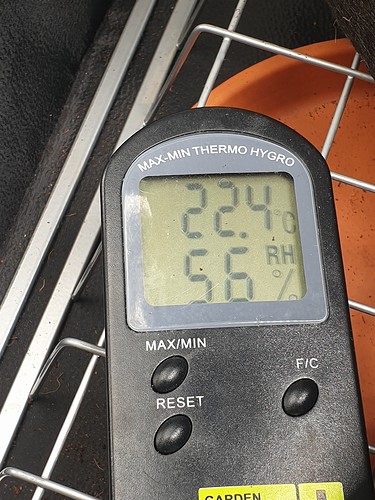 Growreport Bild 4