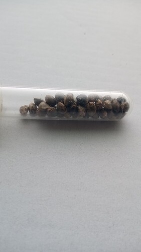 Growreport Bild 5