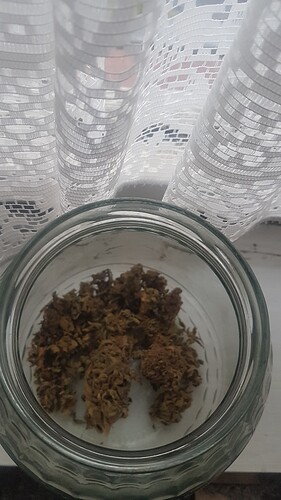 20220521_204808