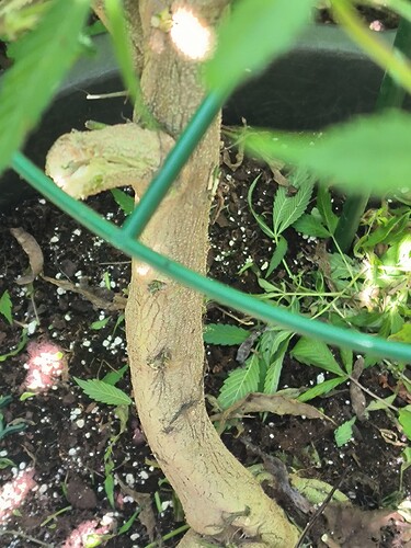 Growreport Bild 14