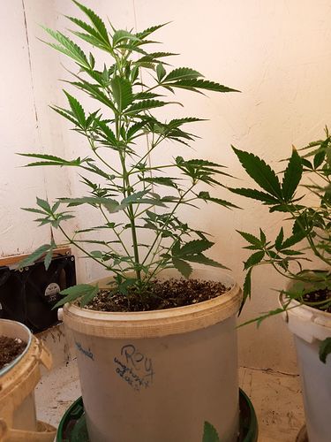 Growreport Bild 12