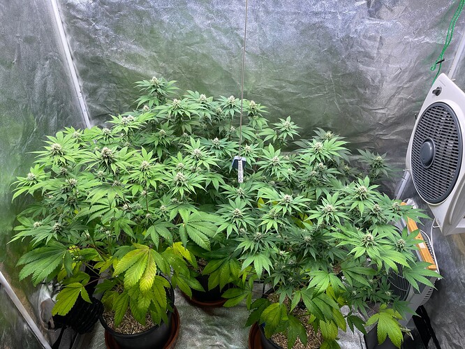 Growreport Bild 10