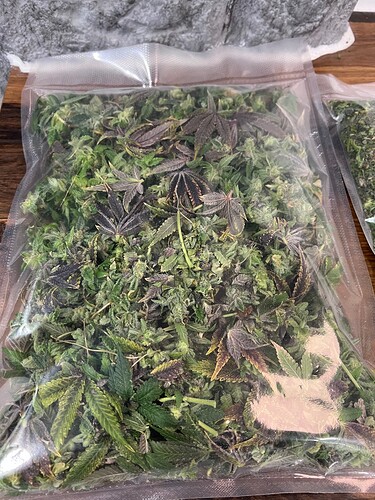 Growreport Bild 9