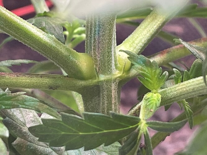 Growreport Bild 5