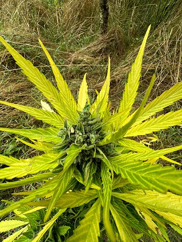 Growreport Bild 12