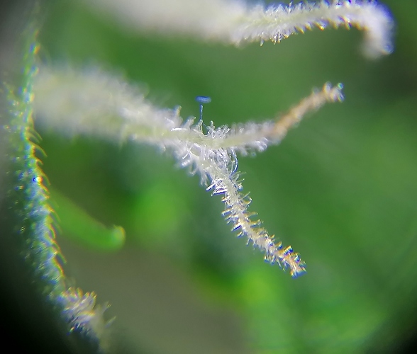 Growreport Bild 9