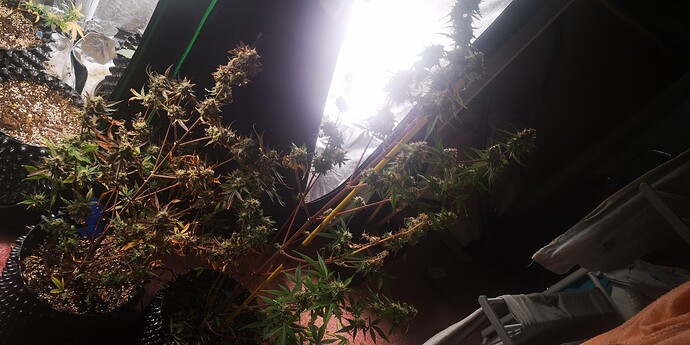 Growreport Bild 21