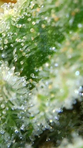 Growreport Bild 18