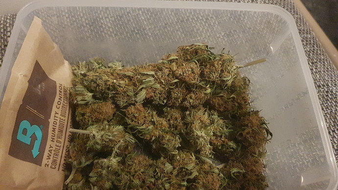 Growreport Bild 2