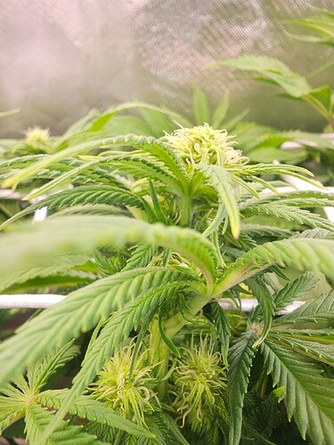 Growreport Bild 11