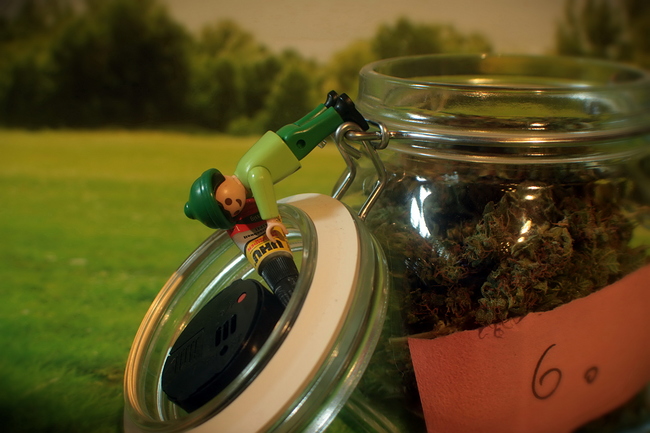 Growreport Bild 7