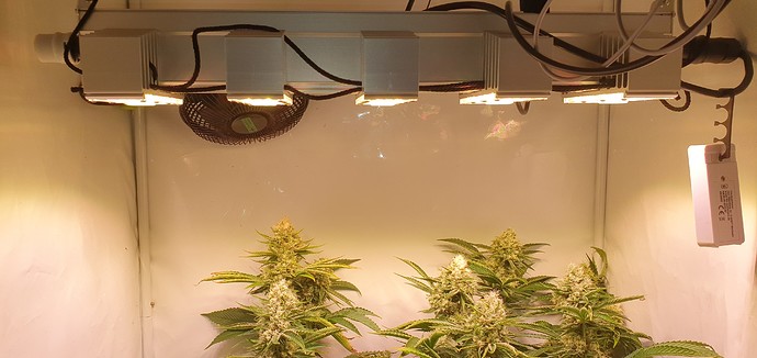 Growreport Bild 7
