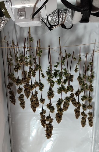 Growreport Bild 4