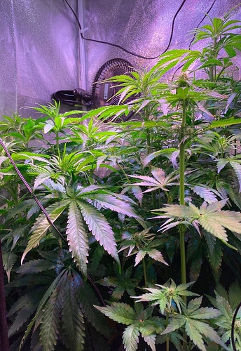 Growreport Bild 11