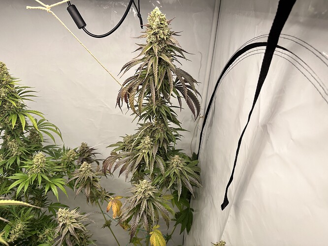 Growreport Bild 5