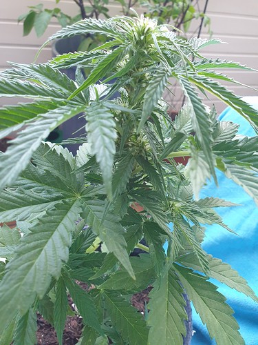 Growreport Bild 14