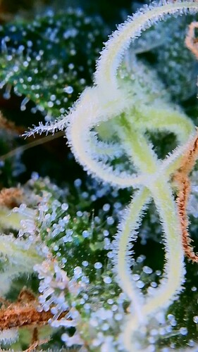 Growreport Bild 24