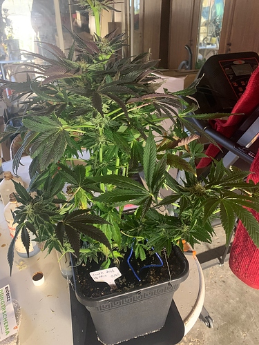 Growreport Bild 12