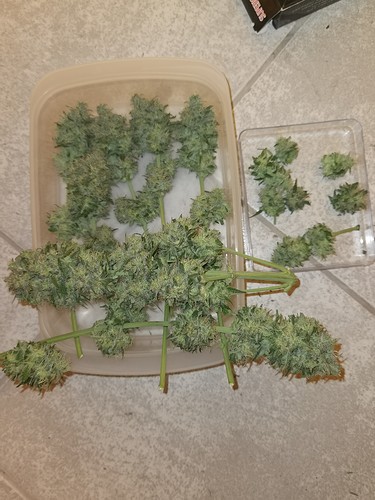 Growreport Bild 18