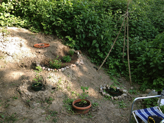 Growreport Bild 18