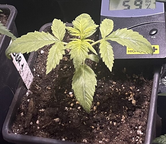 Growreport Bild 18