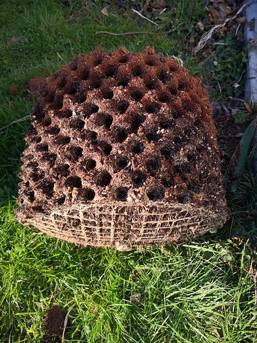 Growreport Bild 7