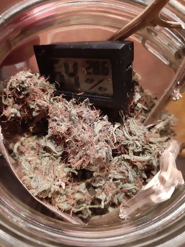 Growreport Bild 10