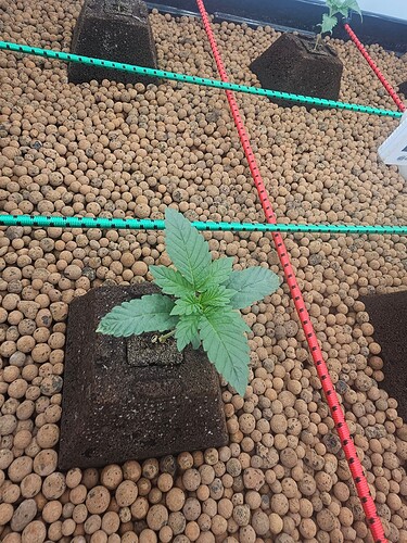 Growreport Bild 21