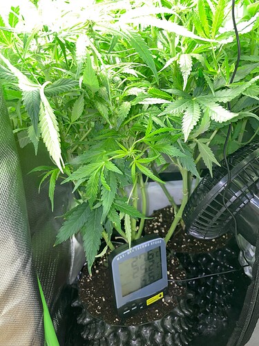Growreport Bild 7