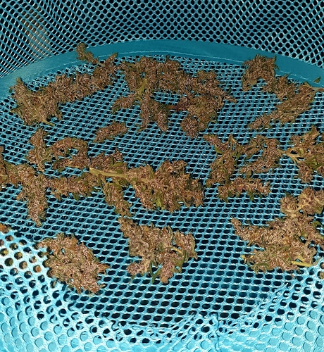 Growreport Bild 5