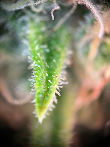 Growreport Bild 47