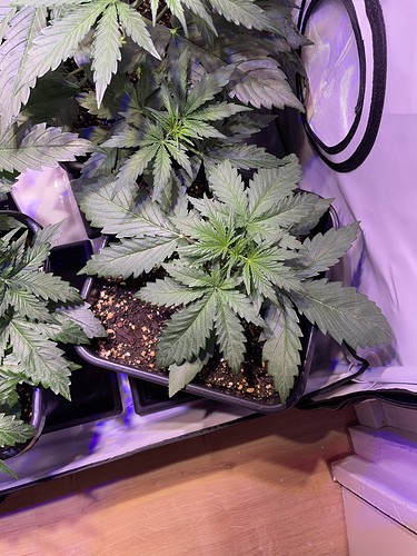 Growreport Bild 13